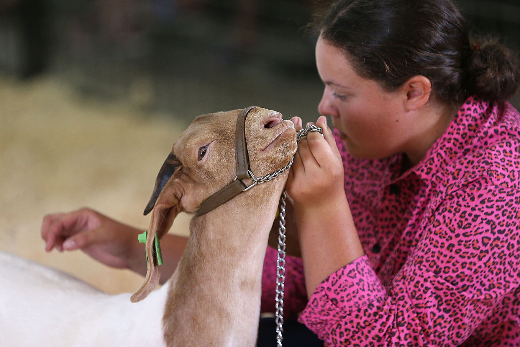 HC Fair Monday 10.jpg